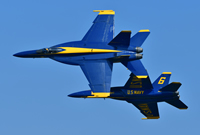 Performers (Blue Angels pictured)